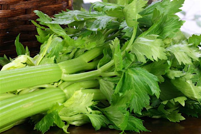 What Does Celery Taste Like