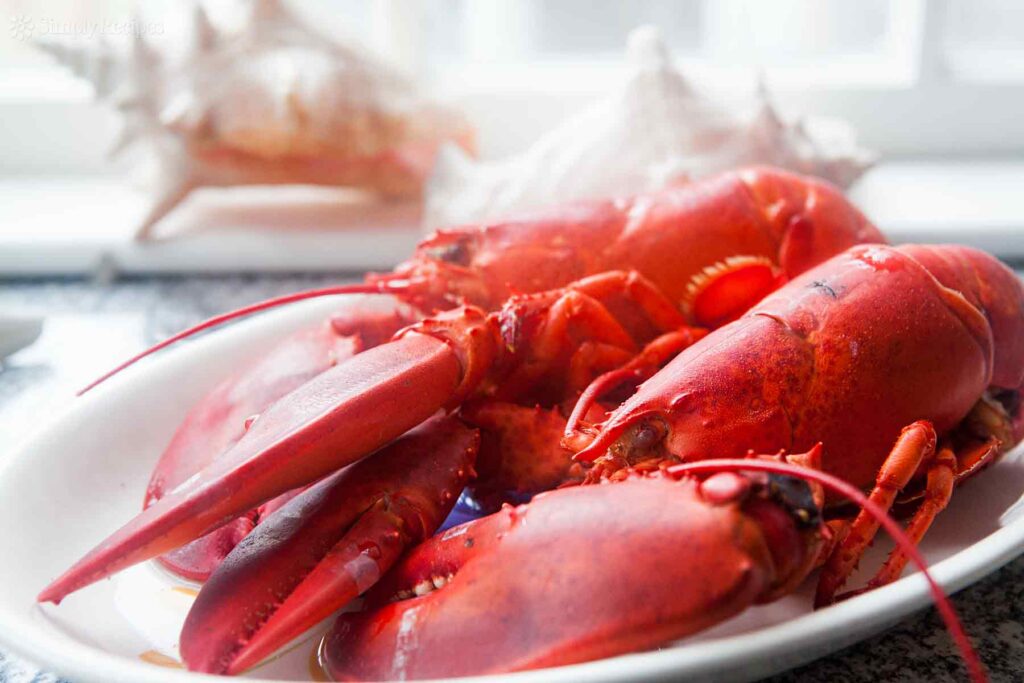 Store Cooked Lobster