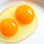 Egg Yolk Substitutes