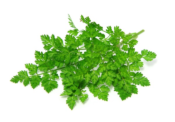 Substitutes For Chervil