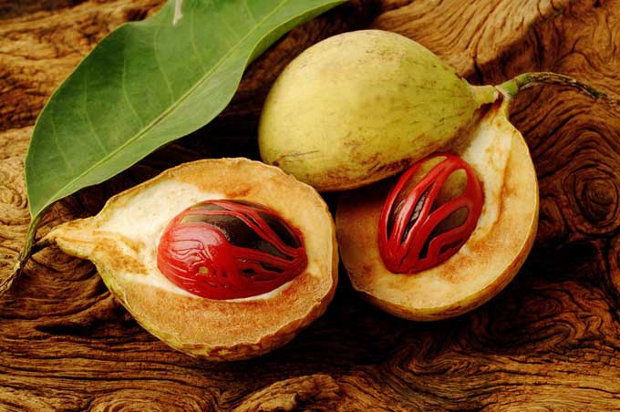 Find Fresh Nutmeg In Grocery Store