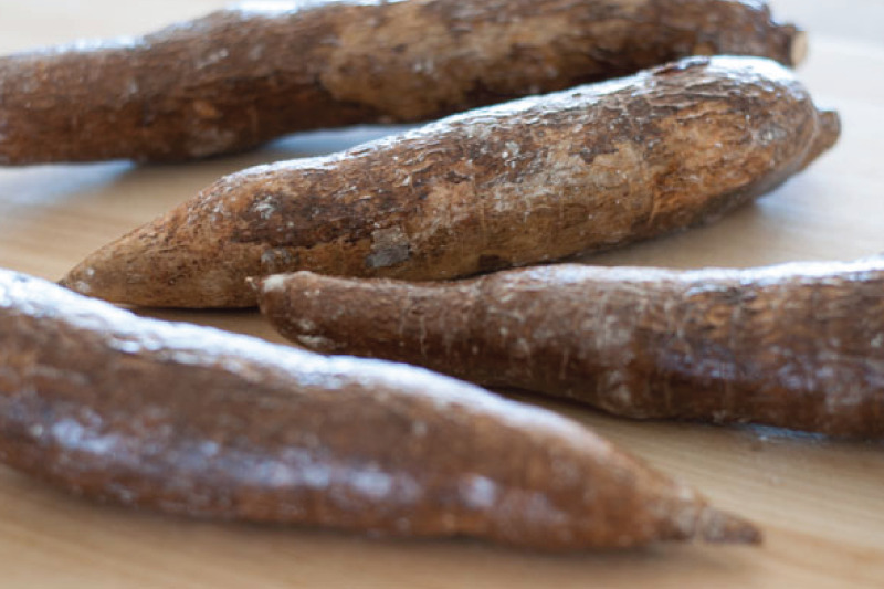 Find Yuca In Grocery Store
